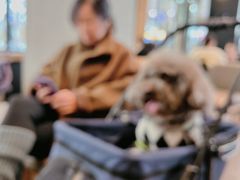 -星巴克(绵阳涪城凯德店)