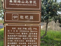 -巢湖姥山岛