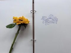 -八哥美术·成人美术画室(总校区)