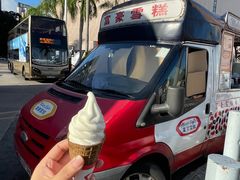 -富豪雪糕车流动点(尖沙咀店)
