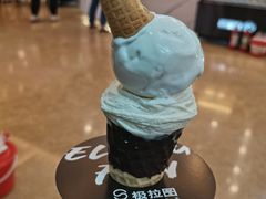 -极拉图·现制冰淇淋(大卫城店)