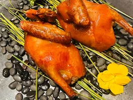 金**鸽
