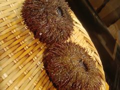 -西村日本料理(香格里拉饭店)