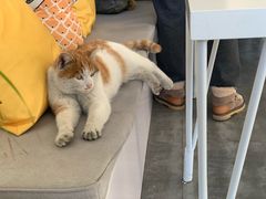 -五进制 Coffee Shop