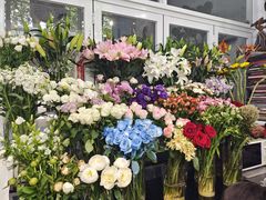 -FEI FEI FLOWER鲜花店·气球派对·宝宝宴布置(虹口德必运动Loft店)