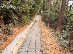 -火炉山森林公园