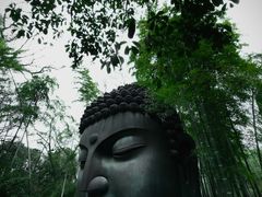 -杭州植物园