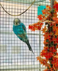 点击看大图 -萌宠亲子动物乐园(槐房万达店)