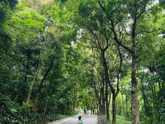 -云溪植物园