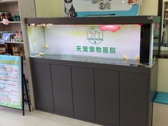 -天宠宠物医院24小时·急重症诊疗中心·全科·腔镜特色(和平分院)
