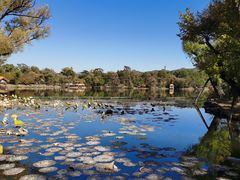 -承德避暑山庄景区