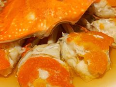 -甄御•海鲜新青岛菜(麦岛店)