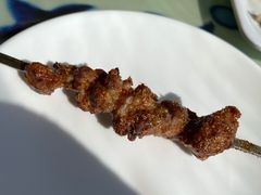 -撒拉花儿·新疆菜·清真(太阳宫店)