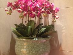 景观位-花中城·三十二年杭帮菜(清泰街店)