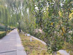 -元大都城垣遗址公园