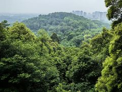 -老君山