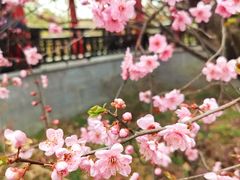 -宝墨园景区