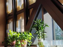 -君邦火锅(新疆大厦店)
