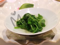 -西郊5号·Maggie 5