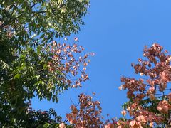 -杭州半山国家森林公园