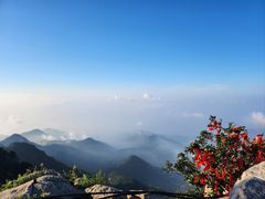 -泰山风景名胜区