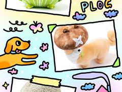 -酷乐潮玩(金桥国际店)