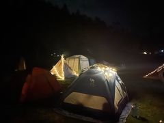 -武陵山森林公园