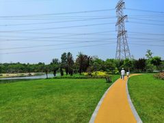 -昆山城市生态森林公园