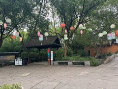 -西溪国家湿地公园