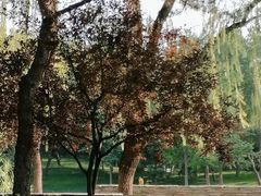 -元大都城垣遗址公园