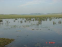 -塞罕坝国家级自然保护区