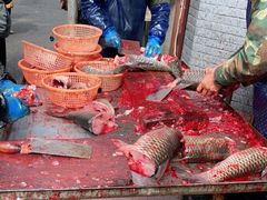 -梅记大块头爆鱼店(乍浦路店)