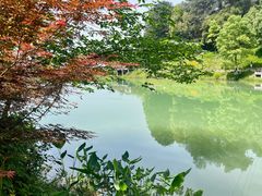 -铁山坪森林公园