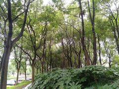 -千龙湖生态旅游度假区