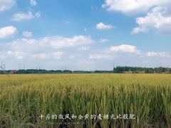 -上海月湖雕塑公园