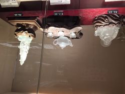 北京七彩云南翡翠珠宝旗舰店（月坛店）-北京七彩云南翡翠珠宝旗舰店(月坛店)
