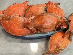 -曼灵德蒸汽海鲜自助(狮山路金鹰国际广场店)