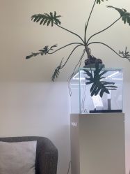 -Dr.U博士医疗美容医院