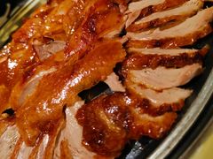 -守柴炉烤鸭(中海国际店)