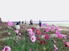 -张北坝上草原