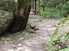 -陕西省红河谷森林公园