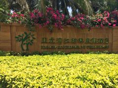 iphone_upload_pic-三亚亚龙湾红树林度假酒店