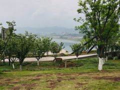 -金海湾滨江公园