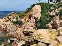 -养马岛旅游度假区