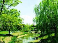 -西山漾湿地公园