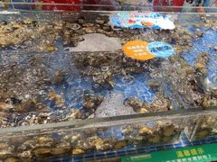 -亚马逊海鲜自助(梅溪湖步步高店)