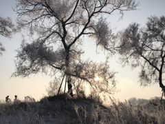 -雾凇岛