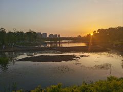 -太子山公园(园东路)
