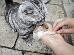 -龙华寺