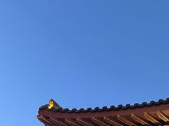 -太湖龙之梦